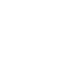 VW Volkswagen